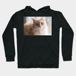 Hobbes Hoodie